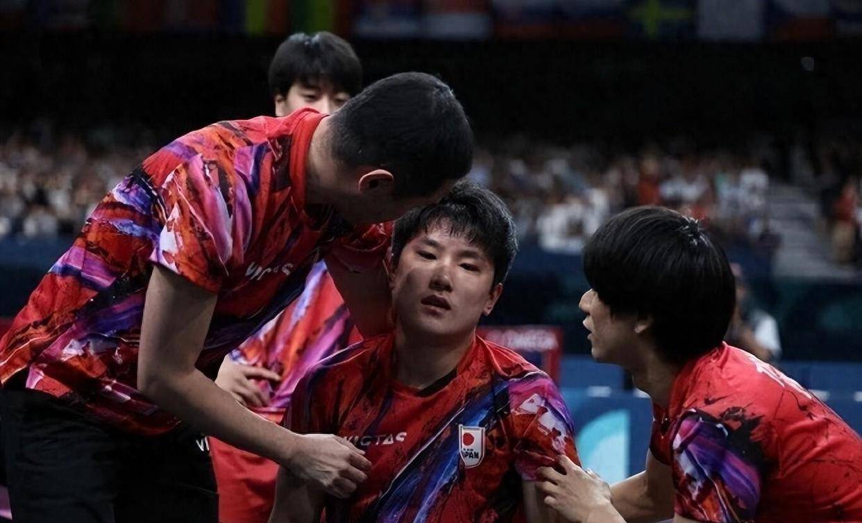 比利时乒乓球队轻取英国乒乓球队，张本智和爆发神勇的简单介绍