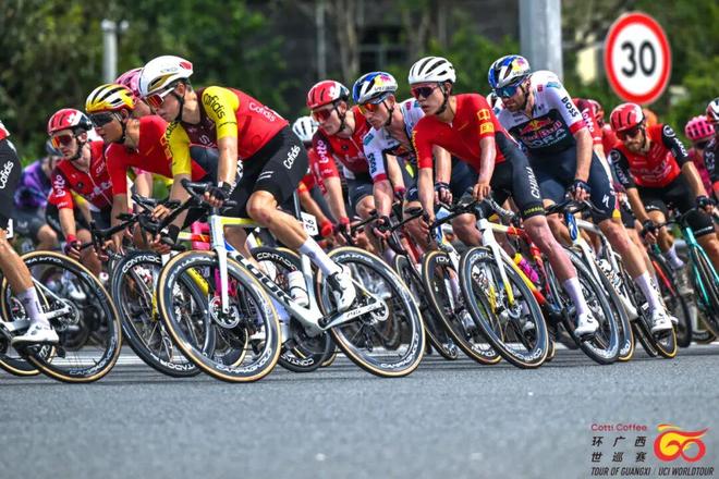 自行车选手速度飞快，一路领先冲刺终点的简单介绍