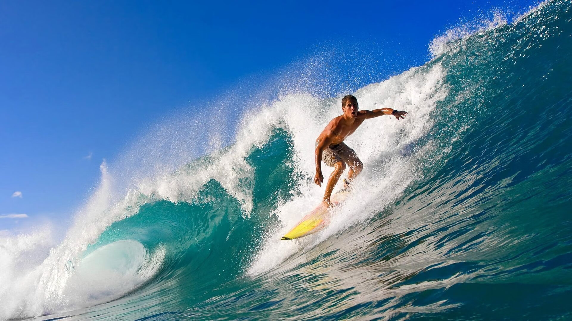 绿茵炼狱，范戴克如何在葡萄牙踏平伊拉克的阴影下完成终极爆发