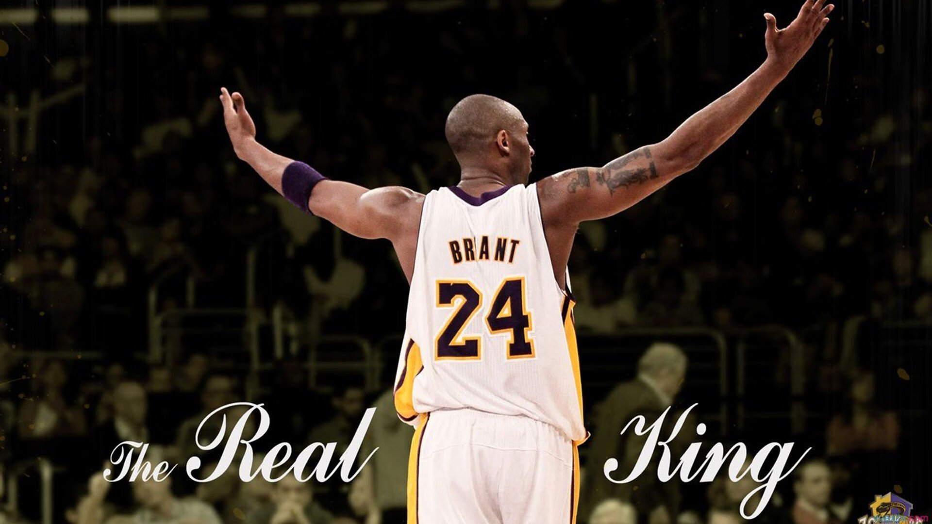 开云体育官方网站-羽坛风云录，丹麦险胜背后的黄鸭惊鸿